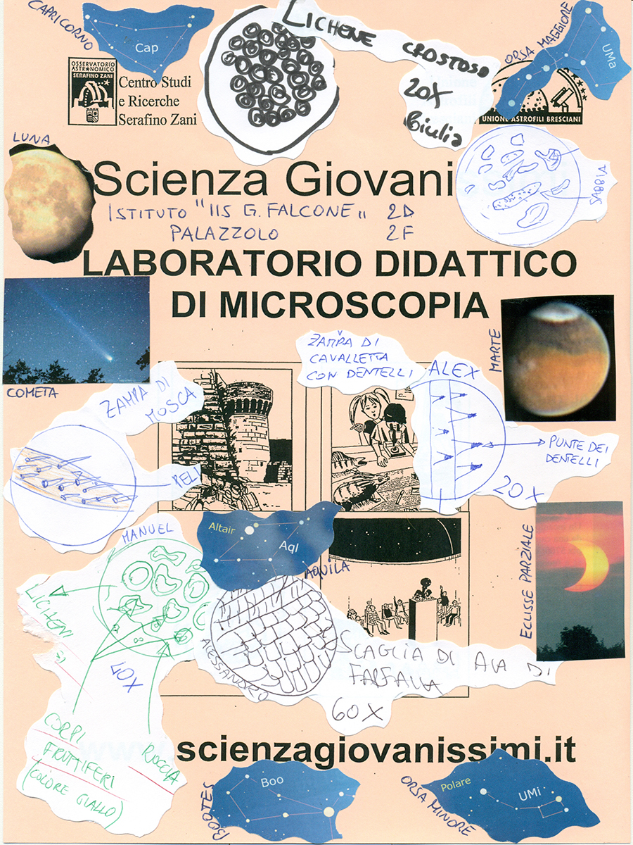 Scuola Secondaria Primo Grado Br Falcone Di Palazzolo S Oglio Bs Scienza Giovanissimi